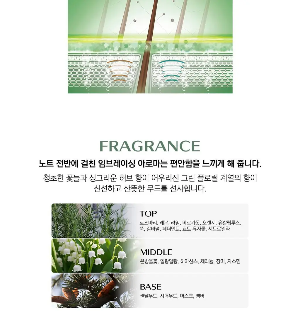 [두피케어] 시세이도 프로페셔널 서브리믹 휀테 포르테 두피 에센스 2종 택1 상세페이지 9